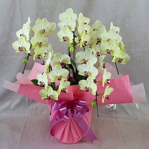 �~�f�B �Ӓ��� 5�{���� �U���c�}�� ���F �C�G���[ ���j�� �ړ]�j�� �J�X�j�� �A�C�j�� �J�@�j�� �J�Əj�� ���N�j�� ���i�j�� �ސE�j�� ���I�j�� �a���� �җ� �Ď� ���� ������ �䋟 ���� ���� 