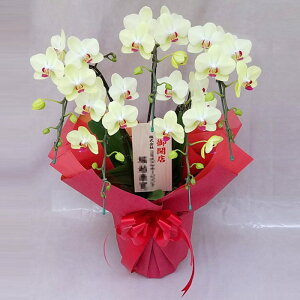 ~fB Ӓ 5{ Uc} F CG[ ؎D JX j ړ]j JXj ACj J@j JƏj Nj ij ސEj Ij a җ Ď   