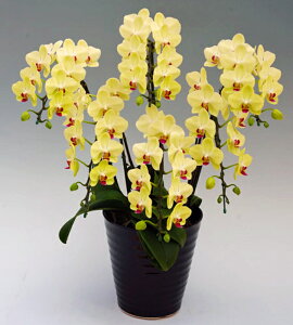 �~�f�B �Ӓ��� 6�{���� �U���c�}�� ���F �C�G���[ �؎D ��J�X ���j�� �ړ]�j�� �J�X�j�� �A�C�j�� �J�@�j�� �J�Əj�� ���N�j�� ���i�j�� �ސE�j�� ���I�j�� �a���� �җ� �Ď� ���� ������ ��