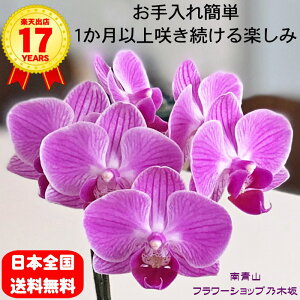 y|Cg10{z~j Ӓ 1{ sNn  }CN j ړ]j JXj ACj J@j JƏj Nj ij ސEj a җ Ď  j  