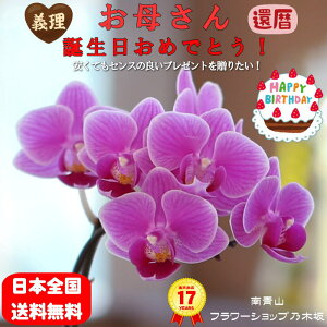 y|Cg10{za ߂łƂ ~j }CN Ӓ 1{ sNn Mtg v[g     ꂳ  Ƒ Fl aj Yn ĕptbgt