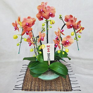 ~fB Ӓ T[t\O a ܂ǂ 5{ j ړ]j JXj ACj J@j JƏj Nj ij ސEj Ij a җ Ď   䋟  Yn