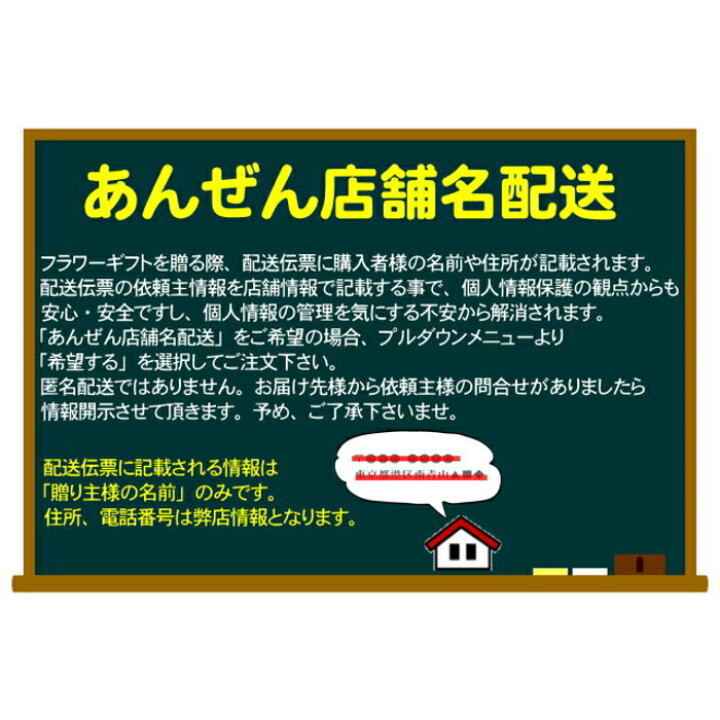 楽天市場 胡蝶蘭 3本立ち グリーンアース ダブルラッピング仕立て 森田洋蘭園 フラワーショップ乃木坂 胡蝶蘭