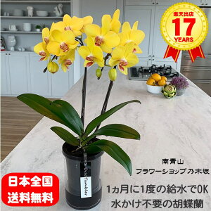 Ɉ̐OK ʋ|bg Ӓ 2{ F CG[ ~fB ^u[|bg  Mtg v[g JXj JƏj ړ]j Nj a j j 