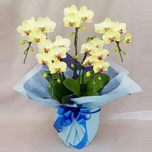 �~�f�B �Ӓ��� ���F �C�G���[ �U���c�}�� 5�{���� ���j�� �ړ]�j�� �J�X�j�� �A�C�j�� �J�@�j�� �J�Əj�� ���N�j�� ���i�j�� �ސE�j�� ���I�j�� �a���� �җ� �Ď� ���� ������ �䋟 �Y�n���� 