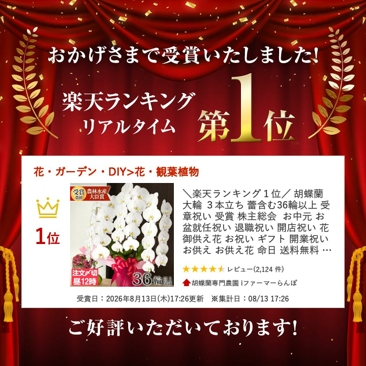 楽天市場】＼楽天ランキング1位／ 胡蝶蘭 大輪 3本立ち 蕾含む
