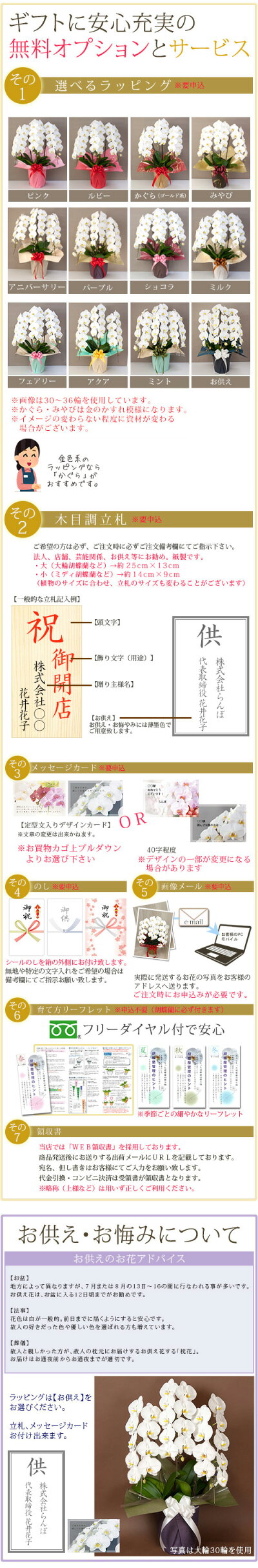 楽天市場 販売終了しました 胡蝶蘭 大輪 ５本立 満開 40輪 お祝い 就任 移動 栄転 開店祝い 開業祝い 仏花 還暦 長寿 ギフト 受賞 お供え 送料無料 R Tai40m 佐川 胡蝶蘭専門農園 Iファーマーらんぼ