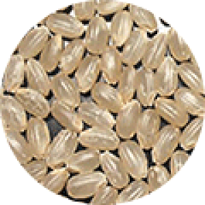 y嗱ŃccIzV ӂƂ t 2kg   ߘa7NY  2L ă}CX^[I ߘaNxY 2kg   t  3 5 7 