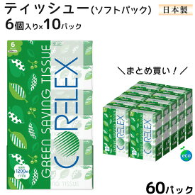 【まとめ買い】ティッシュペーパー 6個×10パック入 60パック 400枚（200組） グリーンセイビング 再生紙100％ t2-009 保管 備蓄 業務用 箱買い コンパクト 外出時 携帯 持ち運び便利 資源節約 リサイクル エコ エシカル サステナブル SDgs ティッシュ ティシュー 日本製