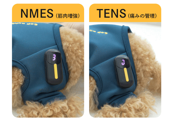 楽天市場】犬用 EMS トレーニングスーツ 犬 膝蓋骨脱臼 ケア 楽天市場】犬用 EMS トレーニングスーツ 犬 膝蓋骨脱臼 ケア