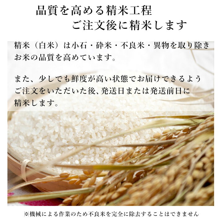 高い素材 良質上白米 超得々 20kg 10kg×2 白米 送料込み 20キロ HJ2 veme.fi