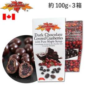 クランベリーフルーツダークチョコレート 100g×3箱セット メープルテラー ギフト Maple Terroir Cranberries カナダ テロワール 海外 別送 夏季クール