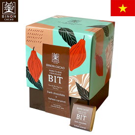 アウトレットSALE 賞味期限間近 BINON CACAO ビノンカカオ ファームトゥバー ビットチョコレート ダークチョコレート ソルトキャラメル 個包装 75g(15粒) ベトナムみやげ ベトナム土産 夏季クール バレンタイン