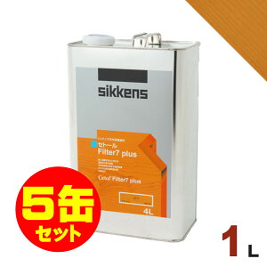 5ʃZbgISikkensiVbPYj Zg[ Filter7vX #077 i`[1L×5] O ؕp h