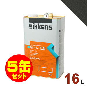 5ʃZbgISikkensiVbPYj Zg[ HLSe #020 G{j[[16L×5] O ؕp h