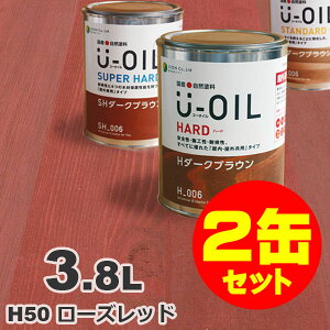 2ʃZbgIU-OILi[ICj ICXeC n[h H50 [Ybh[3.8L×2] O ؕp Y Rh