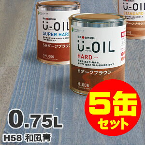 5ʃZbgIU-OILi[ICj ICXeC n[h H58 a[0.75L×5] O ؕp Y Rh