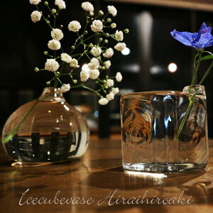 KX ֑} ԕr t[x[X ϔMKX  O icecubevase LTCY ̃A[g y   CeA Ԋ  Mtg v[g   ޏ FB i 