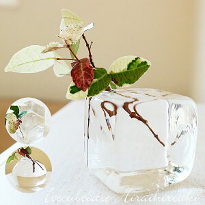 KX ֑} ԕr t[x[X ϔMKX  O icecubevase MTCY ̃A[g y   CeA Ԋ  Mtg v[g   ޏ FB i 