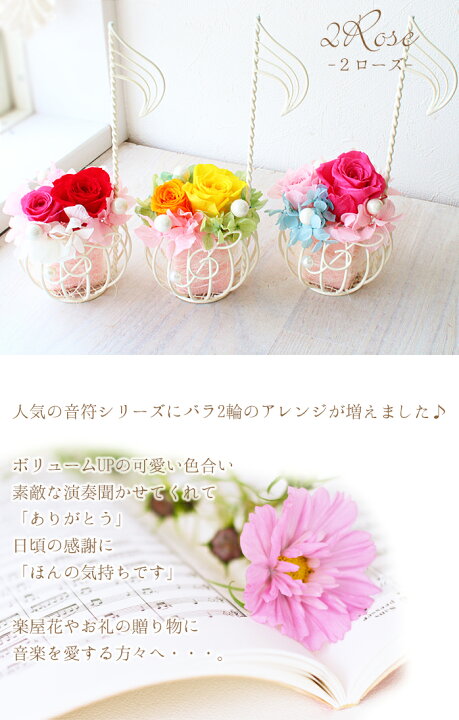 楽天市場 母の日 花 ギフト プリザーブドフラワー 花音 カノン 音符 2rose 音符とト音記号の可愛いアレンジ Canon 卒業 吹奏楽 ピアノ 発表会 演奏会 開業祝い 音楽 先生 教室 演奏者 結婚祝い プレゼント 友達 女 周年祝い お礼 誕生日 女性 彼女 妻 祖母 記念日