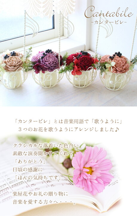 楽天市場 母の日 花 ギフト プリザーブドフラワー 音符 Cantabile カンタービレ 音符とト音記号のアレンジ 卒業 吹奏楽 開業祝い 結婚祝い シック おしゃれ プレゼント 友達 女 ピアノ 発表会 演奏会 音楽 先生 生徒 教室 演奏者 お礼 楽屋花 誕生日 女性 彼女 妻 祖母