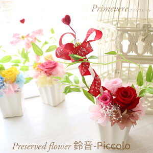 vU[uht[ 鉹 piccolo ƌܐ̉AW y Mtg sAm \ t 搶   ty  v[g  e  ޏ c LO a   