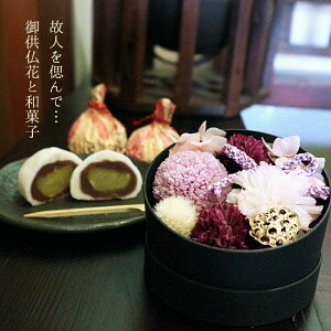  q~ vU[uht[ Zbg   XC[c Mtg ǊĂ܂ aَq \ I܂񂶂イ  ~ @v  l\   Mtg aَq ԂƂ