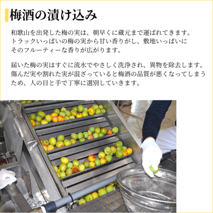 楽天市場】≪モンドセレクション2022 金賞≫ 白鶴 梅酒原酒 楽天市場】≪モンドセレクション2022 金賞≫ 白鶴 梅酒原酒