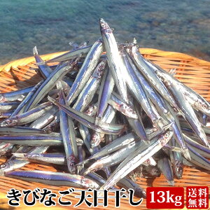 y500~ OFFN[|zyGߌzyzy9{蔭\zyz Mtg ̂тȂV Y Y    V  LriS Ⓚ