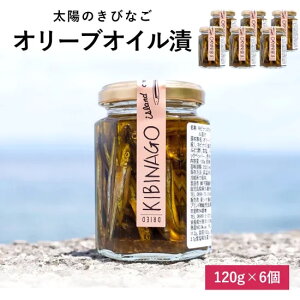  Y ẑтȂ ICЂ 120g тȂ LriS I[uICT[fB ICЂ IC  ܂ y  Y Mtg yY v[