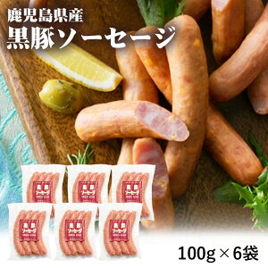 Y ؃\[Z[W 100g   \[Z[W Ⓚ BBQ o[xL[  Hi ؓ ܂ ̍  I[hu ٓ zbghbO