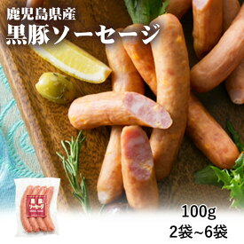 【クーポン利用で200〜5000円OFF】【バレンタインにおすすめ】鹿児島県産 黒豚ソーセージ 100g 2〜6袋 生ハム オードブル ビール 鹿児島県 バレンタイン 職場 同僚 取引先 産地直送 お取り寄せ ギフト プレゼント 贈り物 送料無料