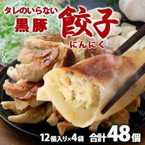  Y؎gp ^̂Ȃ Lq(ɂɂ) v48i12×4܁ji ^Ȃ  ٓ ⓀHi 傤 MEU Ε Mtg