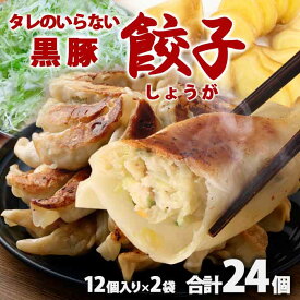 鹿児島県産黒豚使用 タレのいらない 黒豚餃子(しょうが) 計24個（12個入り×2袋）絶品 タレなし おかず お弁当 冷凍食品 ぎょうざ ギョウザ お歳暮 ギフト