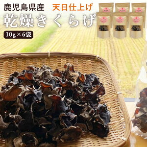  Y炰 LNQ 10g Y ؎ 炰 炰 LNQ ؎ {Y ܂Ƃߔ 炰Y ̂ LmR  H@ r^~D JV