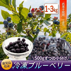 【クーポン利用で200〜5000円OFF】【ハロウィンにおすすめ】【早期予約！2027年7月〜順次発送】 鹿児島県産 冷凍ブルーベリー 1kg 2kg 3kg 国産 農薬不使用 自家農園栽培 鹿児島県 ハロウィン 職場 同僚 取引先 産地直送 お取り寄せ ギフト プレゼント 贈り物 送料無料