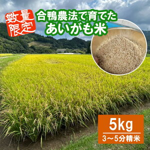 yN[|pōő500~OFFzyΕɂ߁z Y _@ňĂ  5kg _sgp 3`5   Ђ̂Ђ ̕ _ƒ  Ε E  