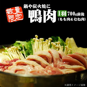 yN[|pōő500~OFFzyΕɂ߁z Y R炿  () ubN1 600`700gO 4`8lO 1H ^pbN  Ε E   Yn 