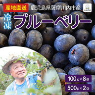 【クーポン利用で200〜5000円OFF】【父の日におすすめ】鹿児島県産 冷凍ブルーベリー 800g / 1kg 国産 無…