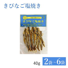 【クーポン利用で200〜5000円OFF】【バレンタインにおすすめ】 きびなご塩焼き40g 干物 無添加 珍味 鹿児島県 バレンタイン 職場 同僚 取引先 産地直送 お取り寄せ ギフト プレゼント 贈り物 送料無料