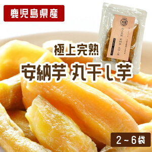 yN[|pōő500~OFFzyΕɂ߁zY [ ۊ 1100g (1lO)  pbN XC[c Y Y  Ε E   Yn  