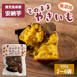 yN[|pōő500~OFFzyΕɂ߁zY ̂܂܂₫ [ 1100g (1lO) Ă  q XC[c  Ε E   Yn  