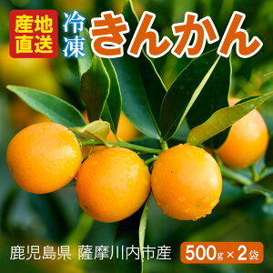 Y Ⓚ  500g × 2  񂩂 V[xbg t[Y t[c Ȃ 炲 X h{ ʕ LJ   Mtg 
