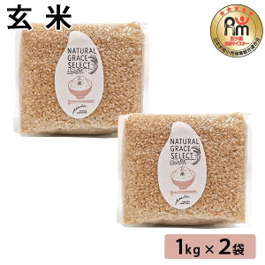 y500~ OFFN[|z  1kg×2       ͂ NH ă}CX^[ ܂ Mtg v[g