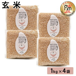 y500~ OFFN[|z  1kg×4       ͂ NH ă}CX^[ ܂ Mtg v[g