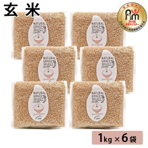 y500~ OFFN[|z  1kg×6       ͂ NH ă}CX^[ ܂ Mtg v[g