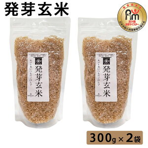 y500~ OFFN[|z 茺 300g×2     茺   ͂ NH ă}CX^[ ܂ Mtg v[g