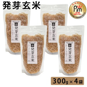 y500~ OFFN[|z 茺 300g×4     茺   ͂ NH ă}CX^[ ܂ Mtg v[g