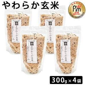 y500~ OFFN[|z 炩 300g×4     炩   ͂ NH ă}CX^[ ܂ Mtg v[g