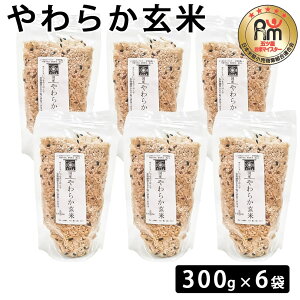 y500~ OFFN[|z 炩 300g×6     炩   ͂ NH ă}CX^[ ܂ Mtg v[g